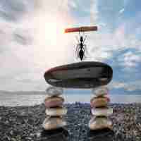 java后​端‍代﻿码﻿